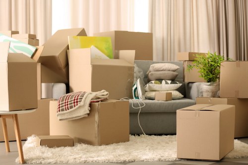 Professional removal services offered by a man with van